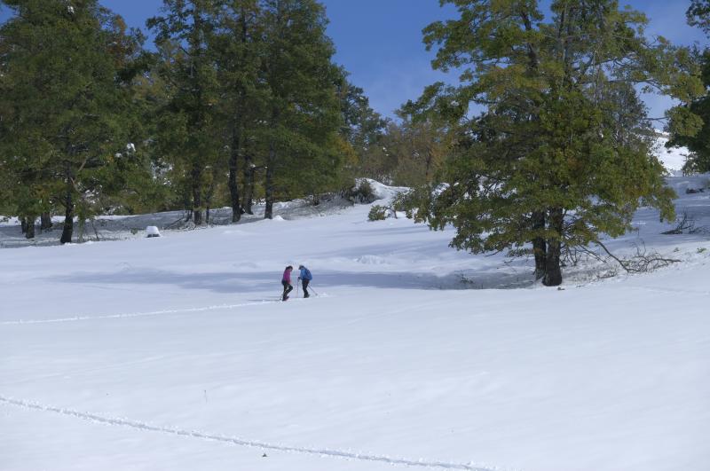 La nieve cubrió la carretera de acceso a la localidad de Cabrales desde las ocho de la tarde del lunes y las máquinas no pudieron trabajar en la zona hasta el martes