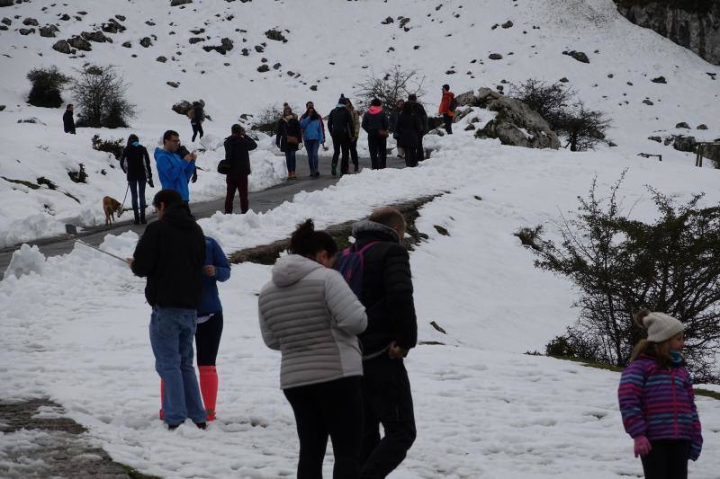 Muchos visitantes quisieron aprovechar la joranada de Todos los Santos para disfrutar del paisaje nevado tras el temporal.