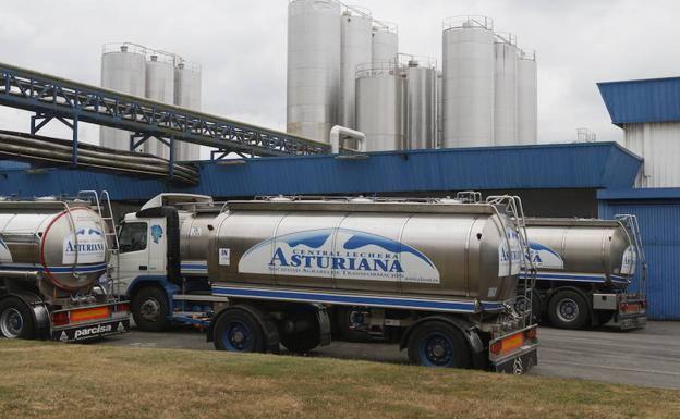 Planta de Central Lechera Asturiana. / JORGE PETEIRO