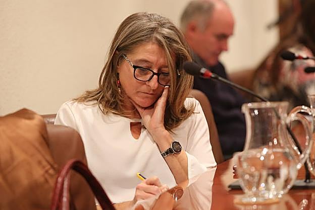 La concejala de Izquierda Unida en Avilés Carmen Conde, en un pleno. 