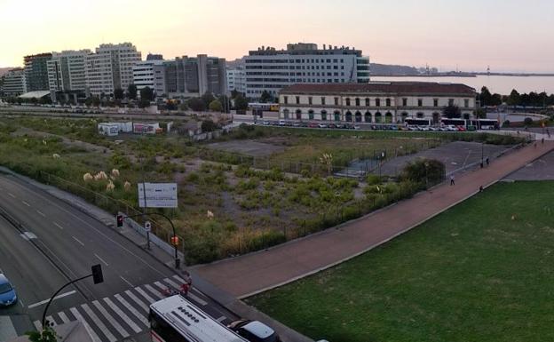 Vista del 'solarón' en la encrucijada entre la zona verde más próxima al centro de la ciudad y la destinada a alberguar la futura estación intermodal, frente al Museo del Ferrocarril. 