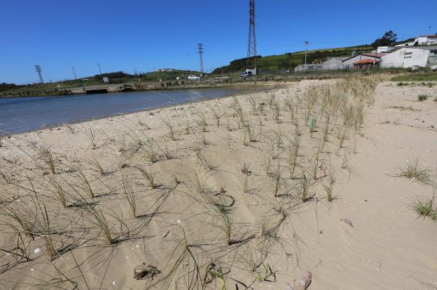 El proyecto incluye levantar una duna a modo de dique a lo largo de la playa de Zeluán para evitar así inundaciones que se registran en caso de fuerte temporal . 