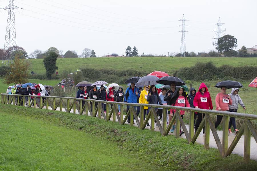 Fotos: ¿Estuviste en la VI Marcha Gijón Solidario? ¡Búscate!