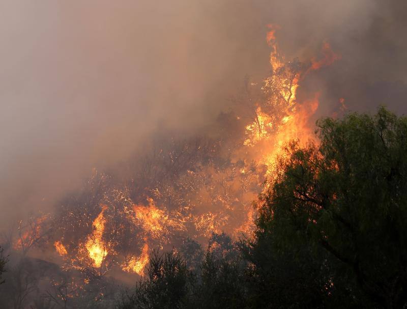 Fotos: &#039;Camp Fire&#039;, el incendio más destructivo en la historia de California