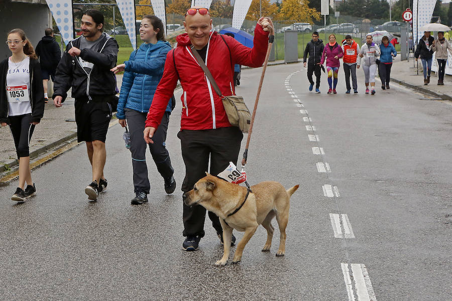 Fotos: ¿Estuviste en la VI Marcha Gijón Solidario? ¡Búscate! (2)