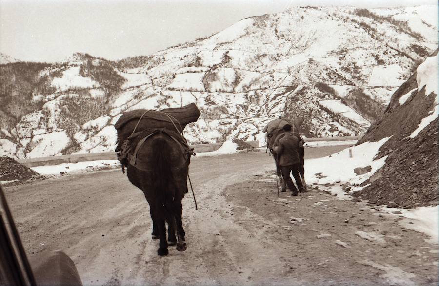 La familia del fotoperiodista, que retrató con su cámara la realidad de la región desde los años 40 hasta poco antes de su muerte en 2012, ha donado unas 200.000 imágenes a el Museo del Pueblo de Asturias