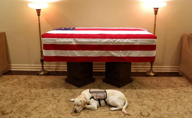 La conmovedora imagen de Sully, el perro de George H. W. Bush que lo acompañó hasta el final