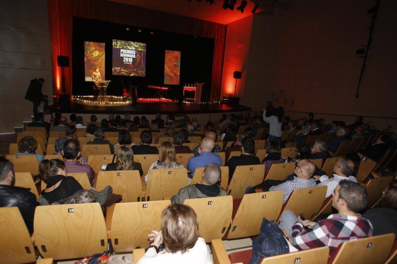 La ceremonia tuvo lugar en el Auditorio de la Casa de Cultura, donde también se disfrutó de la actuación de Helena Gil