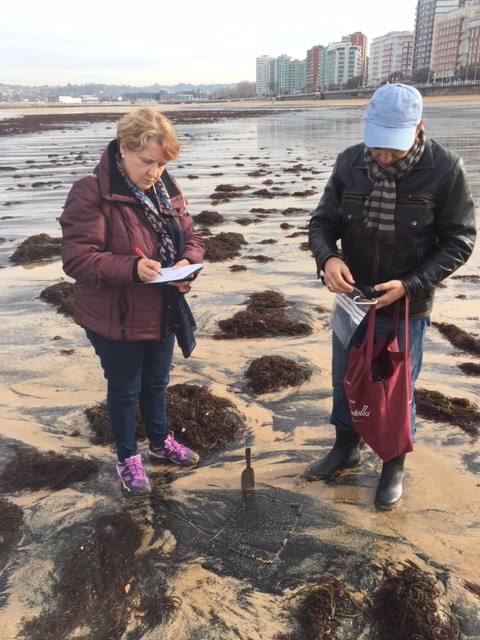 El pasado mes de abril, tras otro episodio de estas características, el Ayuntamiento de Gijón solicitó a la Universidad de Oviedo un estudio para determinar el origen de la mancha de carbón, aunque la mayoría de los expertos coinciden en apuntar como única causa el naufragio del carguero 'Castillo de Salas'.
