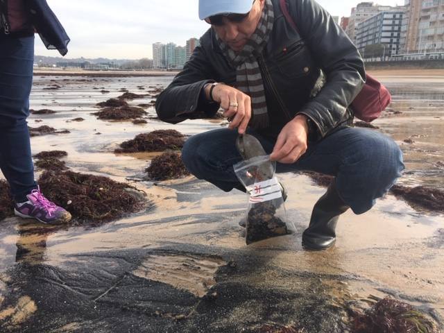 El pasado mes de abril, tras otro episodio de estas características, el Ayuntamiento de Gijón solicitó a la Universidad de Oviedo un estudio para determinar el origen de la mancha de carbón, aunque la mayoría de los expertos coinciden en apuntar como única causa el naufragio del carguero 'Castillo de Salas'.
