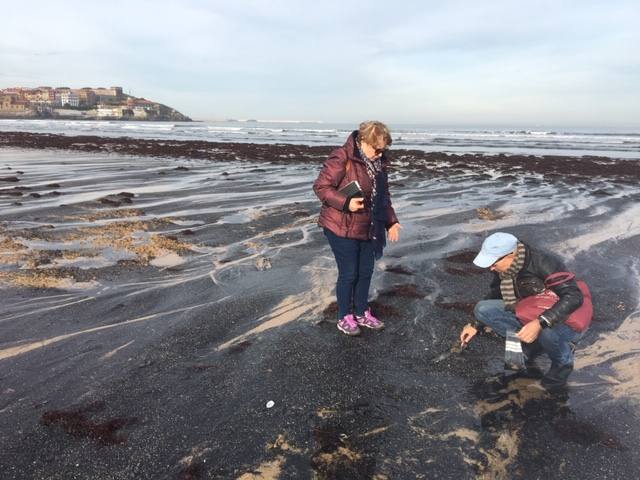 El pasado mes de abril, tras otro episodio de estas características, el Ayuntamiento de Gijón solicitó a la Universidad de Oviedo un estudio para determinar el origen de la mancha de carbón, aunque la mayoría de los expertos coinciden en apuntar como única causa el naufragio del carguero 'Castillo de Salas'.