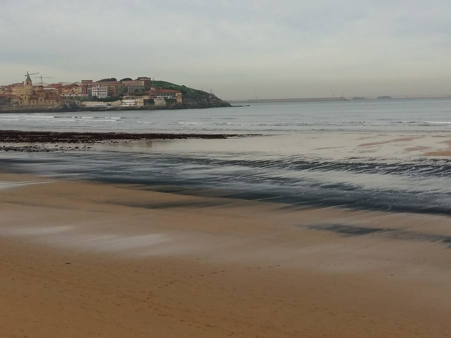 El pasado mes de abril, tras otro episodio de estas características, el Ayuntamiento de Gijón solicitó a la Universidad de Oviedo un estudio para determinar el origen de la mancha de carbón, aunque la mayoría de los expertos coinciden en apuntar como única causa el naufragio del carguero 'Castillo de Salas'.