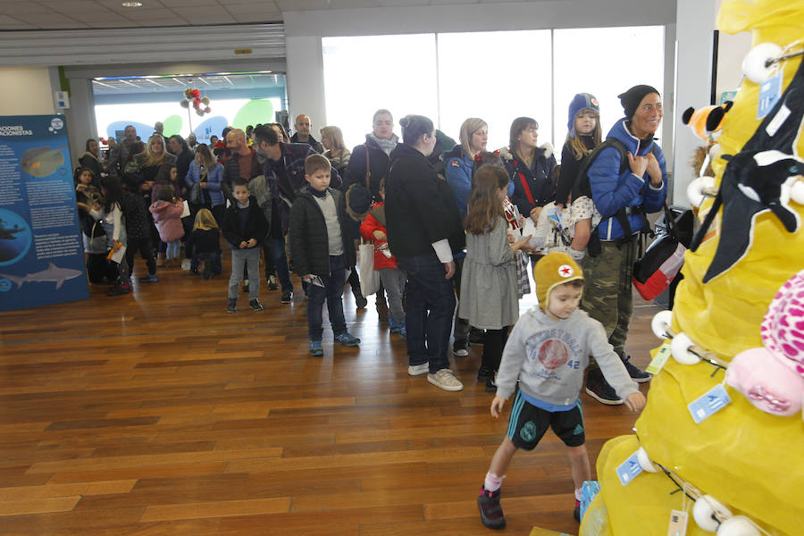 El Acuario de la ciudad se llenó de ilusión y nervios para recibir al popular personaje navideño.