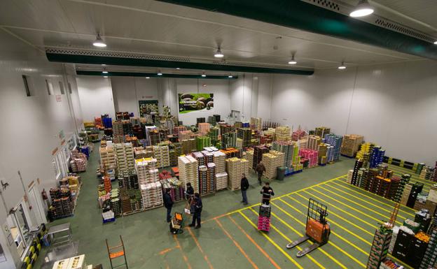 Vista del almacén de Feito y Toyosa con los productos listos para su distribución.