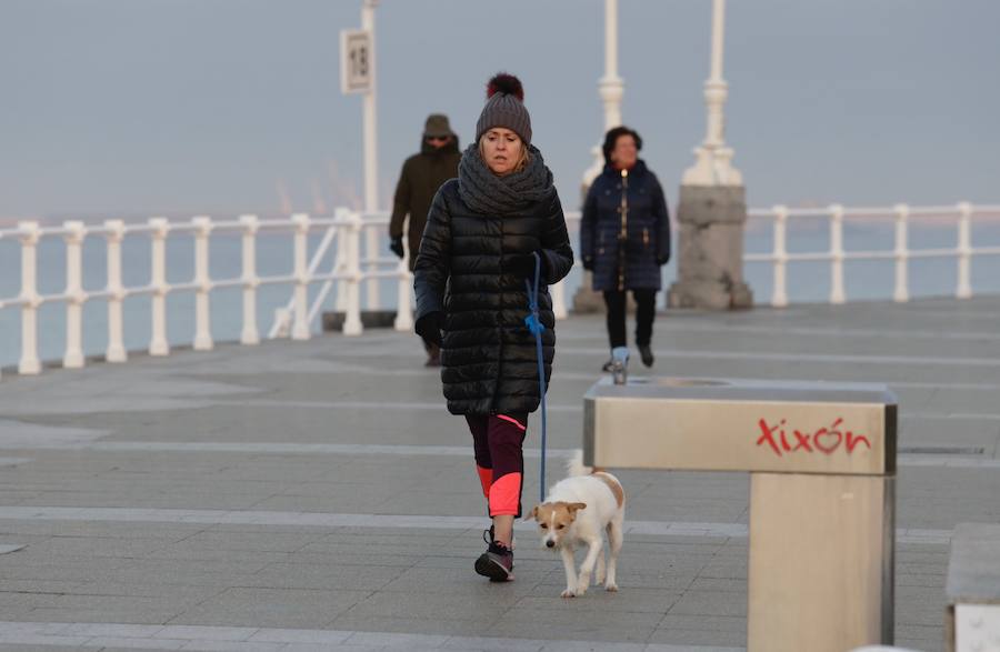 as temperaturas bajo cero con las que la región lleva días amaneciendo muestran estampas sorprendentes que compensan la sensación de frío. 