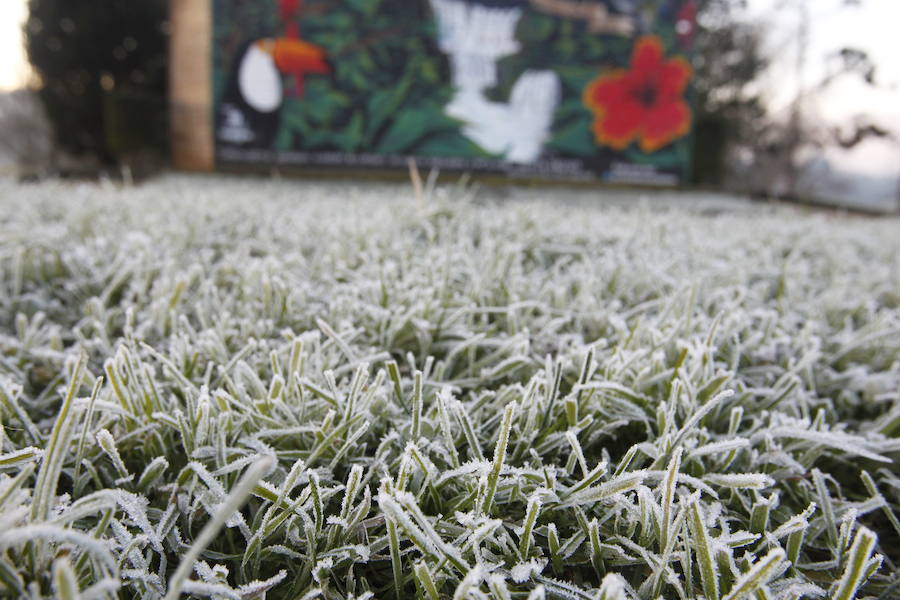 Las temperaturas bajo cero con las que la región lleva días amaneciendo muestran estampas sorprendentes que compensan la sensación de frío. 