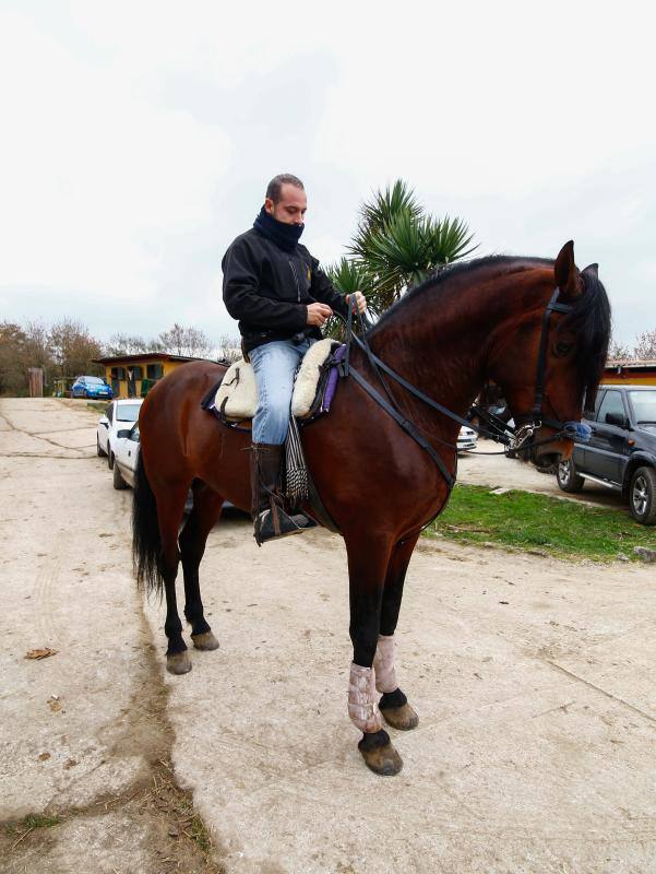 El concejo suma cinco escuelas y clubes de equitación con más de medio centenar de caballos. El cierre del Asturcón dispara la afición con una oferta de centros ecuestres que va desde lo puramente formativoa la cría de animales o la equitación terapéutica