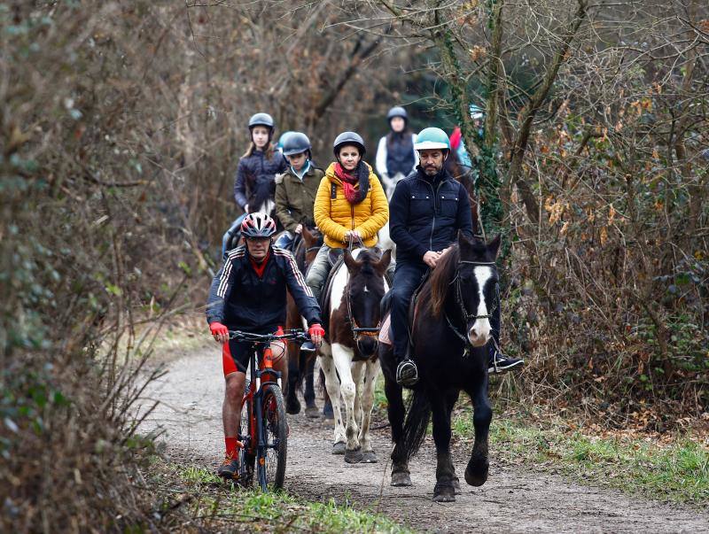 El concejo suma cinco escuelas y clubes de equitación con más de medio centenar de caballos. El cierre del Asturcón dispara la afición con una oferta de centros ecuestres que va desde lo puramente formativoa la cría de animales o la equitación terapéutica