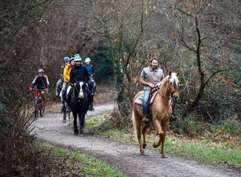 El concejo suma cinco escuelas y clubes de equitación con más de medio centenar de caballos. El cierre del Asturcón dispara la afición con una oferta de centros ecuestres que va desde lo puramente formativoa la cría de animales o la equitación terapéutica