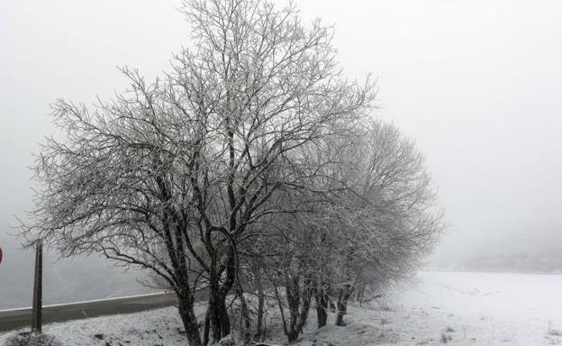 El tiempo en Asturias: Asturias vivirá sus horas más frías esta madrugada