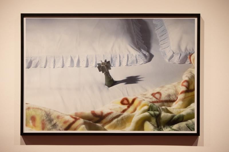 La fotógrafa iraní Shadi Ghadirian expone varias de sus series en el auditorio, en las que muestra con acidez la realidad de Irán y, especialmente, de las mujeres en el país.