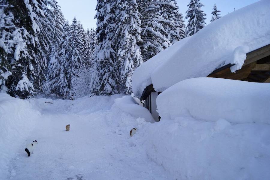 El temporal de nieve se ceba con el sur de Alemania y Austria. Cientos de vuelos han sido cancelados en Múnich y en Fráncfort, mientras se extienden las alertas por la previsión de nuevas precipitaciones en amplias zonas de Baviera.