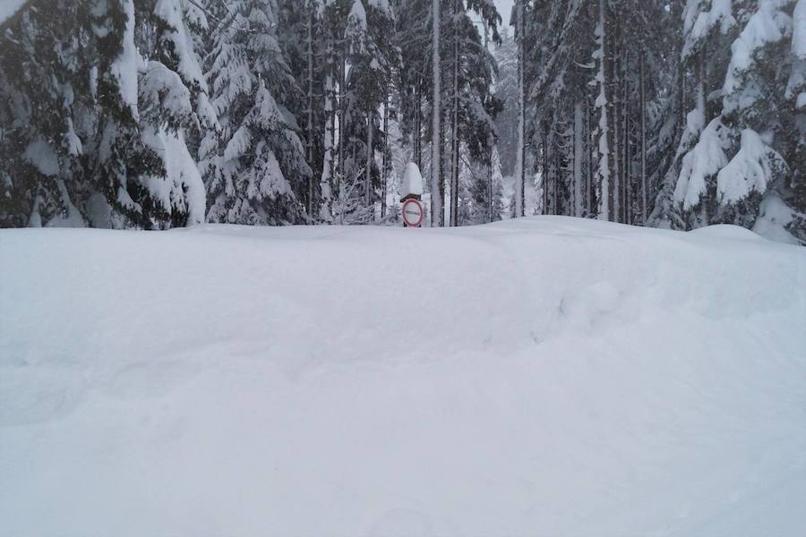 El temporal de nieve se ceba con el sur de Alemania y Austria. Cientos de vuelos han sido cancelados en Múnich y en Fráncfort, mientras se extienden las alertas por la previsión de nuevas precipitaciones en amplias zonas de Baviera.