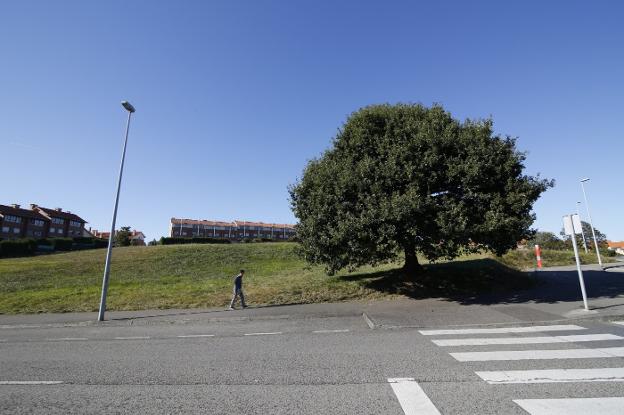 La parcela en la que se construirá el nuevo Instituto de Secundaria de La Fresneda. 