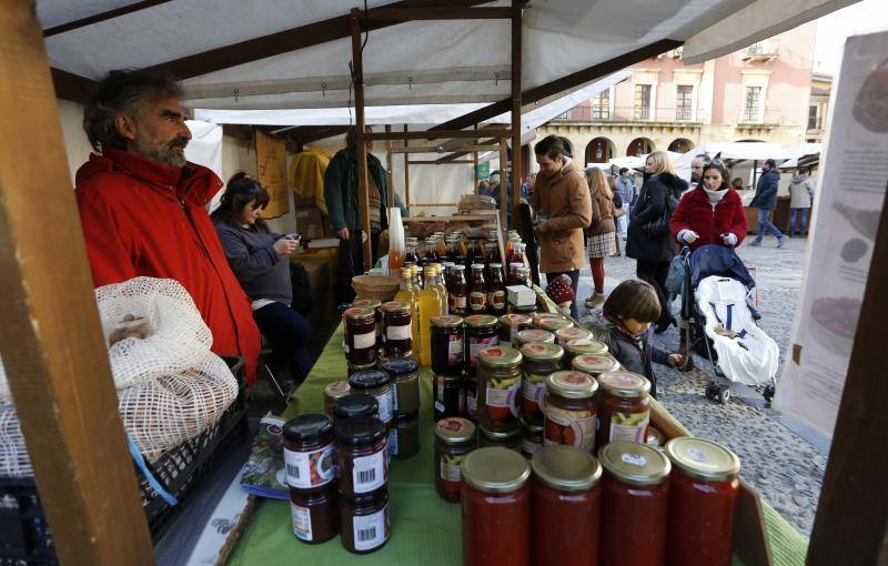 La Plaza Mayor de Gijón acogió, este domingo, el Mercado Ecológico y Artesano. Un evento que se ha consolidado como un referente artesanal, gastronómico y turístico de la villa. Ha sido declarado Fiesta de Interés Turístico del Principado de Asturias.