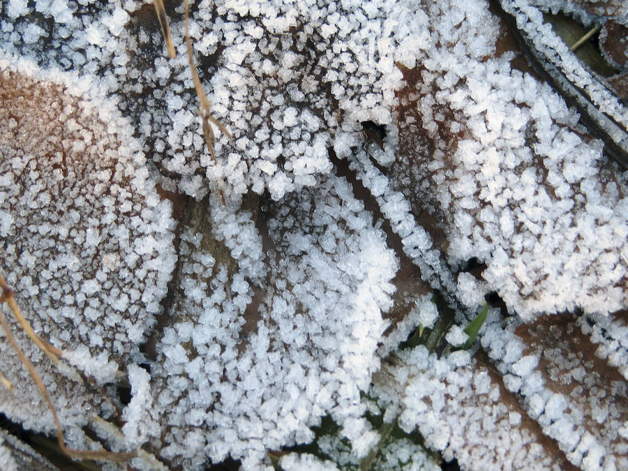 Las bajas temperaturas han propiciado heladas en la ruta de Valle del Lago, en el Parque Natural de Somiedo.
