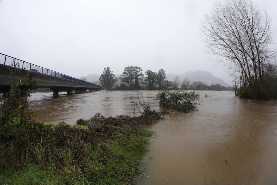Las fuertes lluvias provocan el desbordamiento de estos dos ríos