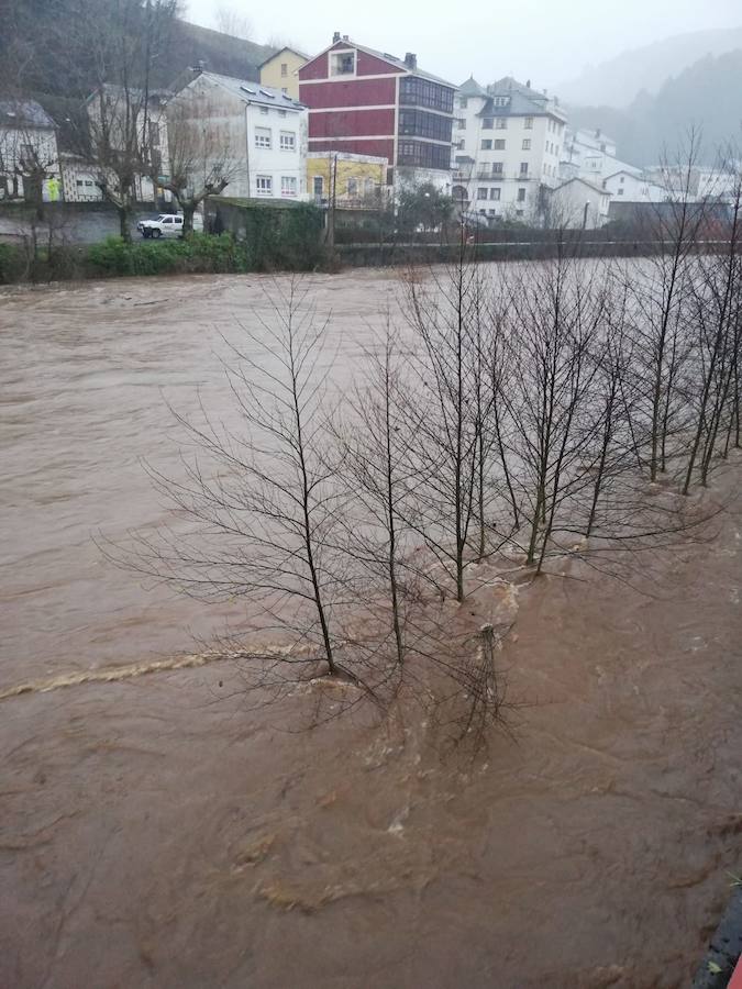 Cuatro ríos de la región permanecen en alerta ante la incesantes precipitaciones y el Principado ha activado el plan de inundaciones ante el temporal.