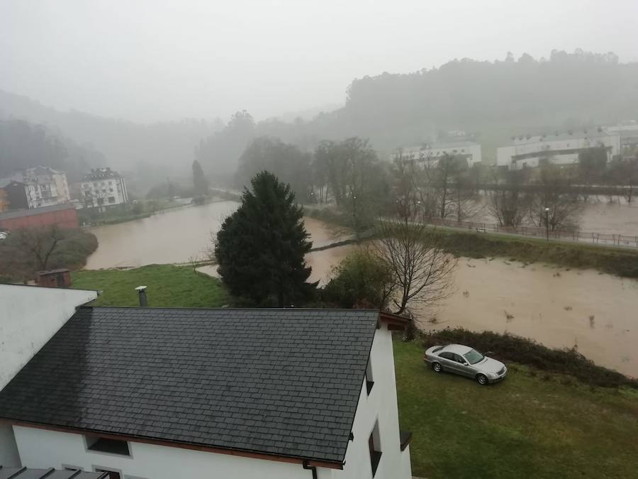 Cuatro ríos de la región permanecen en alerta ante la incesantes precipitaciones y el Principado ha activado el plan de inundaciones ante el temporal.