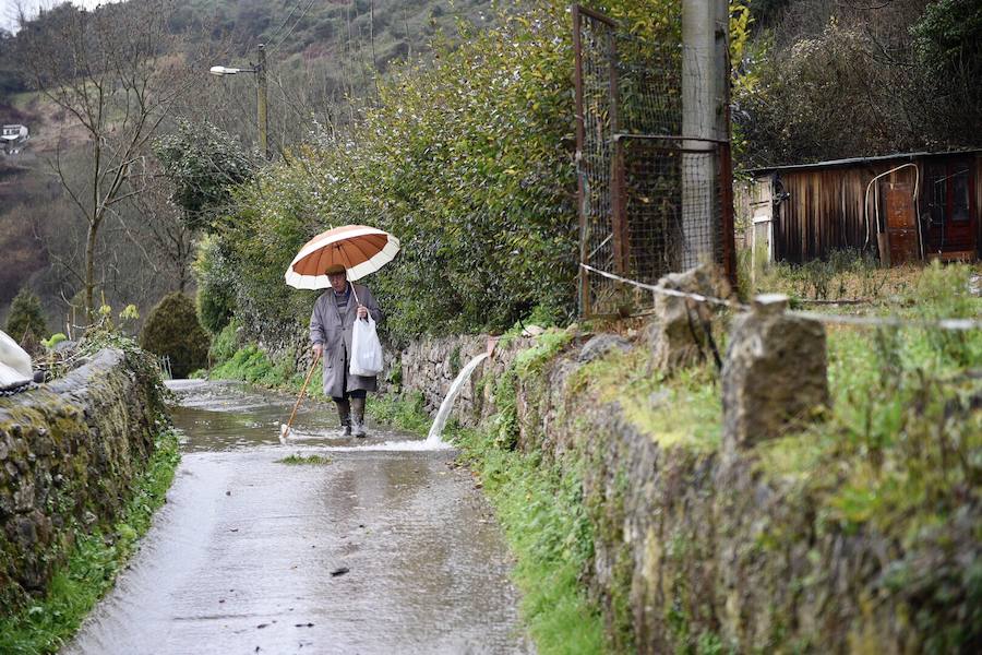 El río Trubia está desbordado en varios puntos, las alcantarillas anegadas y los portales de planta baja del grupo Coronel Baeza cubiertos de agua. Son algunas de las incidencias. 