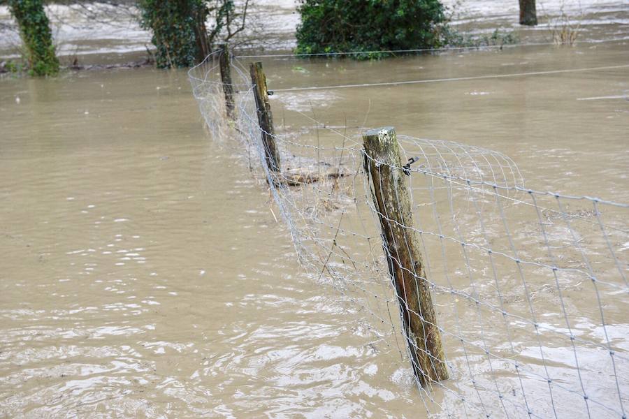 El río Trubia está desbordado en varios puntos, las alcantarillas anegadas y los portales de planta baja del grupo Coronel Baeza cubiertos de agua. Son algunas de las incidencias. 