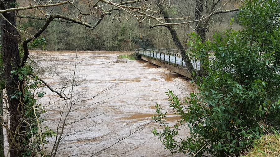 Las fuertes lluvias provocan el desbordamiento de estos dos ríos