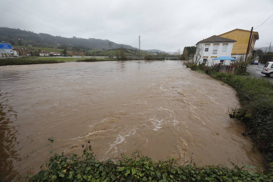 El río Linares se ha desbordado a su paso por La Barquerina obligando a cortar la circulación por la zona. Es alguno de los múltiples incidentes que registra la villa