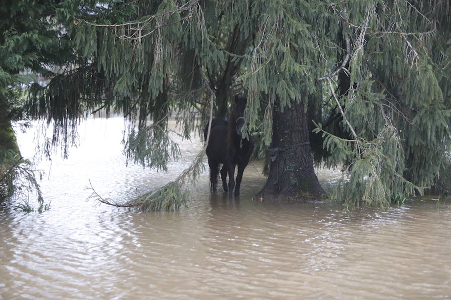 Cuatro muertos, calles anegadas por toda la región, cortes de varias carreteras, centros educativos cerrados y la evacuación preventiva de la central térmica de Lada, entre los múltiples incidentes de las inundaciones.