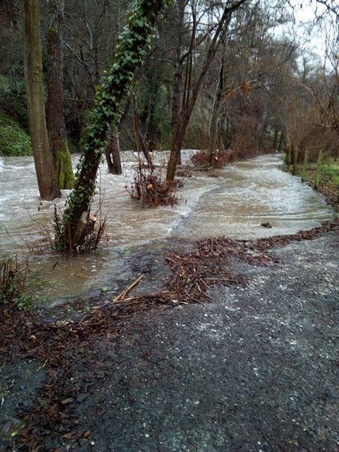 Las intensas lluvias que han caído en las últimas horas en la región desbordó el río Naviego y obligó a cerrar el paseo del Vino