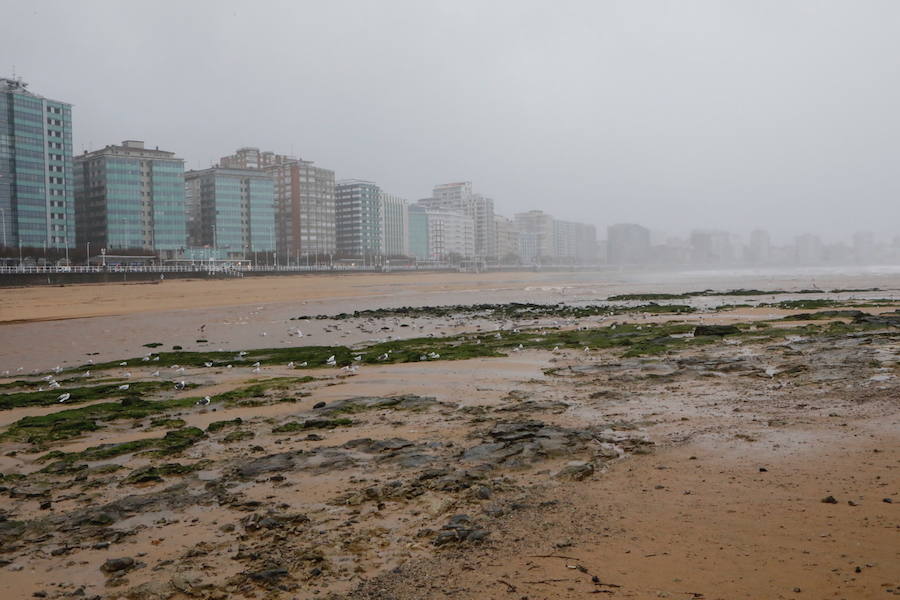 El paseo gijonés del Muro ha amanecido con algunas de sus escaleras cerradas debido a los daños causados por el temporal de lluvia y viento. Operarios de Emulsa han procedido a la limpieza de la arena depositada en el paseo tras la pleamar.