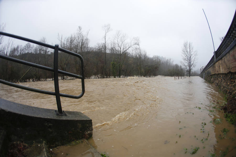 La crecida del río paralizó la central térmica de Lada y mantiene a una gran preocupación entre los vecinos de las Cuencas.