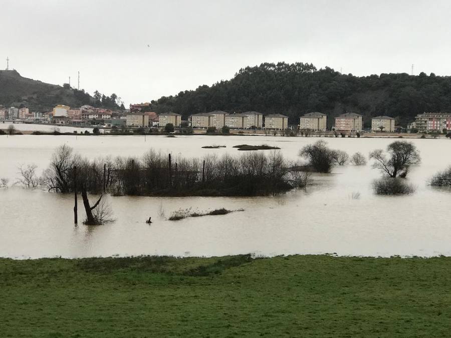 El Sella, desbordado en diferentes puntos, ha obligado a cortar al tráfico la carretera nacional 634 desde la localidad riosellana de Llovio hasta la capital parraguesa