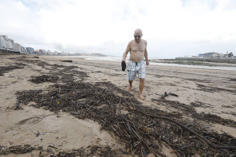 El principal arenal gijonés ha vuelto a amanecer con restos del temporal, principalmente ramas y troncos que se acumulan en la escalera 15, en la zona próxima al Piles