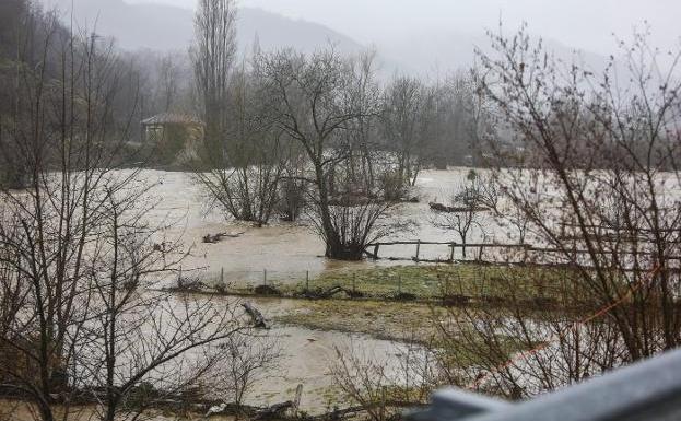 El río Nalón, a la altura de El Condado. :: D. ARIENZA 