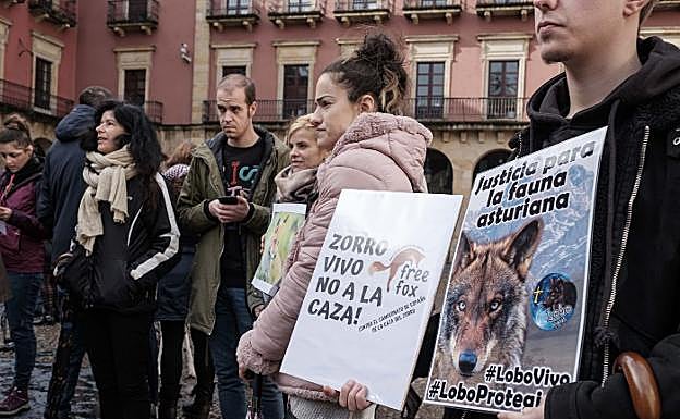 «Cada año se matan en España más de 200.000 zorros y es una barbarie»