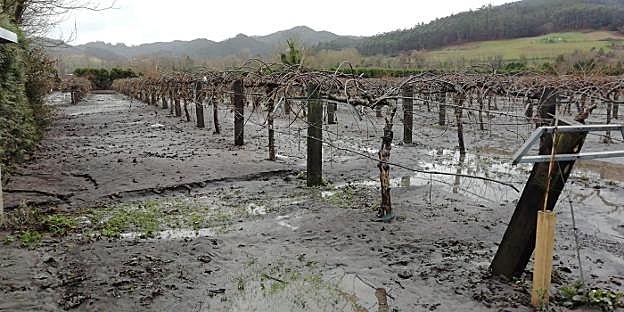 Los daños por las inundaciones en los bienes privados llegan a casi seis millones