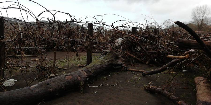 Las fuertes lluvias dejaron los cultivos cubiertos de fango y restos de plásticos y la maquinaria inservible