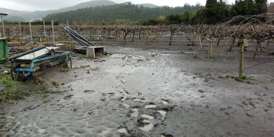 Las fuertes lluvias dejaron los cultivos cubiertos de fango y restos de plásticos y la maquinaria inservible
