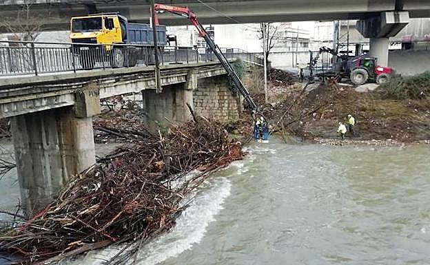 Técnicos de la Confederación Hidrográfica del Cantábrico acometen la limpieza del río Nalón a su paso por Tudela Veguín. :: e. c. 