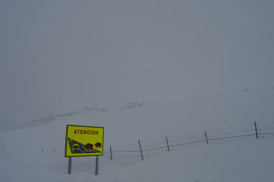 El paso de la borrasca 'Helena' ha obligado a cerrar el puerto de Leitariegos dodne la nieve alcanzó un metro de espesor en su zona más alta